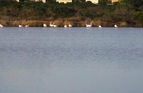 Luddui Apartment | Vista Baia Blu