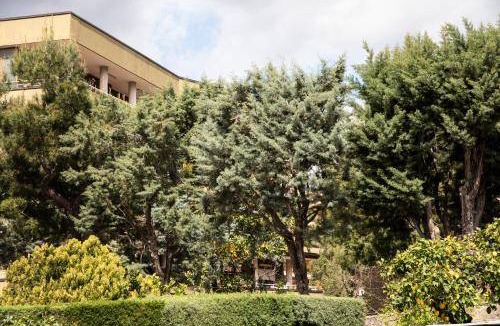 Caserta Bed & Breakfast | 13 m² Bed and breakfast ∙ 4 guests