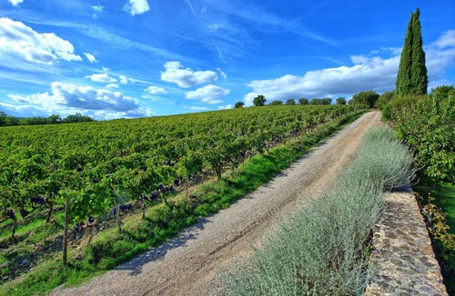 Montalcino Apartment | 160 m² Apartment ∙ 4 bedrooms ∙ 7 guests