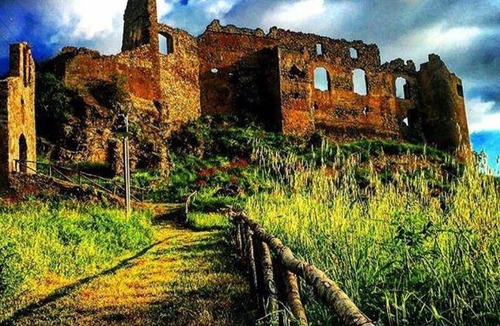Santa Maria del Cedro Bed & Breakfast | 18 m² Bed and breakfast ∙ 3 guests