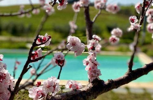 Campagnatico Bed & Breakfast | 18 m² Bed and breakfast ∙ 2 guests