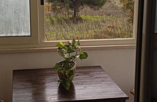 Boscotrecase House | 20 m² Farmhouse ∙ 2 guests