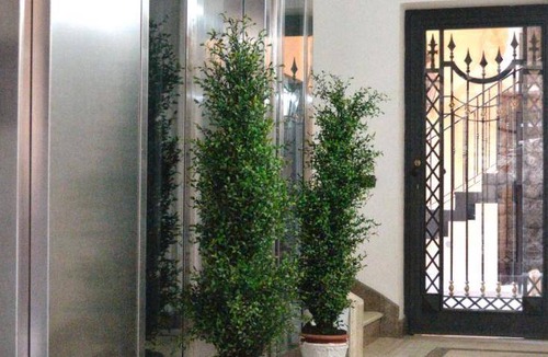 Santa Maria Capua Vetere Bed & Breakfast | 24 m² Bed and breakfast ∙ 3 guests