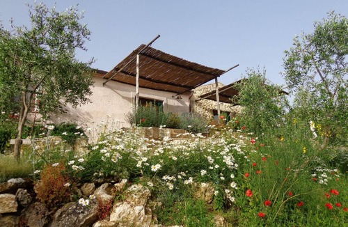 Saturnia Apartment | 25 m² Apartment ∙ 1 bedroom ∙ 3 guests