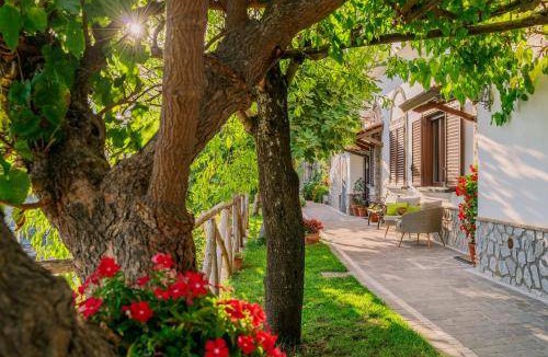Ravello Bed & Breakfast | 25 m² Bed and breakfast ∙ 3 guests