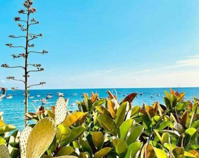 Termini Apartment | 29 m² Apartment ∙ 1 bedroom ∙ 2 guests