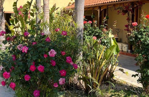 Cerignola House | 30 m² Farmhouse ∙ 3 guests