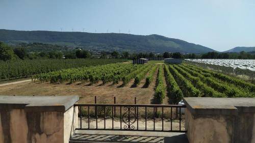 Sant'Agata de'Goti Hotel | 35 m² Hotel ∙ 4 guests