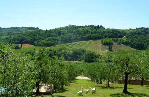 Marcialla Apartment | 45 m² Apartment ∙ 1 bedroom ∙ 2 guests