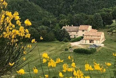 Cagli Apartment | 50 m² Apartment ∙ 1 bedroom ∙ 2 guests