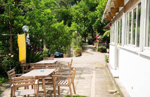 Sant'Agnello Bed & Breakfast | 50 m² Bed and breakfast ∙ 3 guests