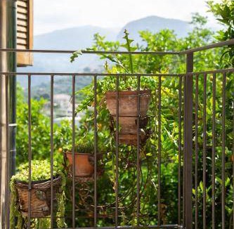 Sant'Agnello Bed & Breakfast | 50 m² Bed and breakfast ∙ 3 guests