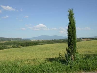 Arcidosso Apartment | 60 m² Apartment ∙ 2 bedrooms ∙ 3 guests