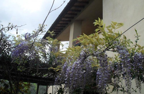 Bevagna Apartment | 65 m² Apartment ∙ 2 bedrooms ∙ 5 guests