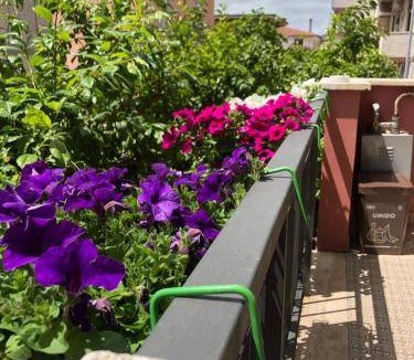 Latina Apartment | 80 m² Apartment ∙ 2 bedrooms ∙ 5 guests