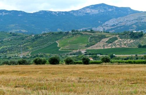 Tocco da Casauria House | Agriturismo "Borgo Madonna degli Angeli" - charming cottages in the gardens !