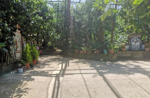 Marina di Puolo House | Agriturismo Il Giardino di Vigliano