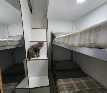 Al Barsha 1 House | Al Barsha 1 Room, Capsule, Bedspace - for Female