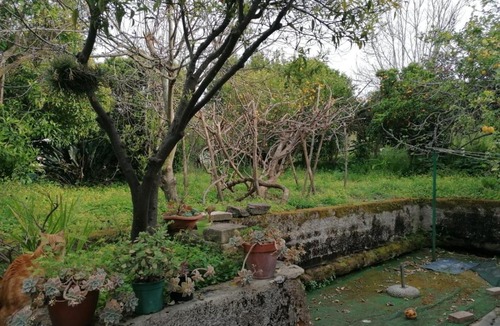 Ischia Porto Apartment | Al Giardino