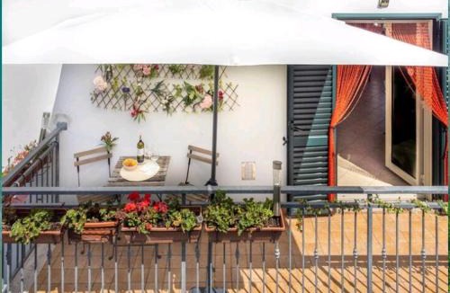 Torrebruna House | Anthony House