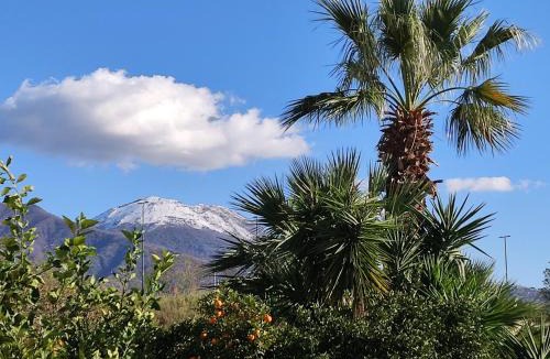 Naples Bed & Breakfast | Antoniet