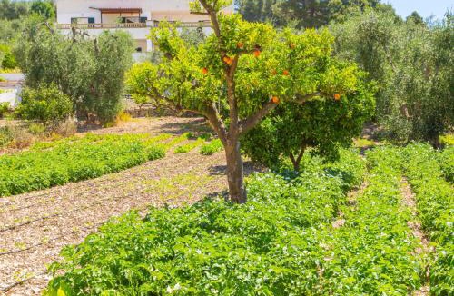 Peschici Apartment | Apartment Villa Tavaglione-1 by Interhome