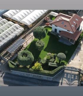 Santa Maria la Carita Apartment | APPARTAMENT ' IL GIARDINO '