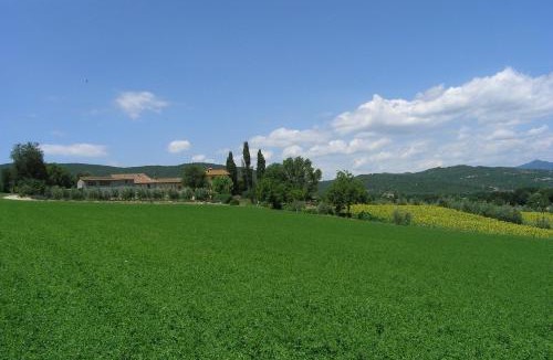 Motina Apartment | Appartamenti con cucina nelle colline toscane