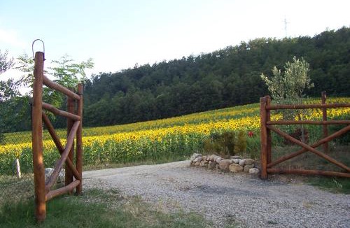 Motina Apartment | Appartamenti con cucina nelle colline toscane