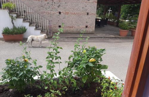 Lamezia Terme Apartment | Azienda Agricola Neocastrum