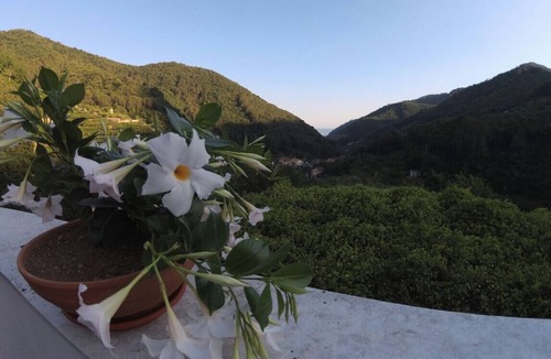 Pucara Bed & Breakfast | B&B Bouganville in Pucara