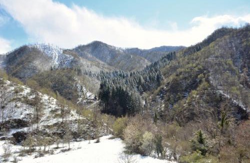 Marradi Bed & Breakfast | B&B Cá Bucolica-Eremo di Trebbana raggiungibile solo a piedi-guarda il sito-chiamaci