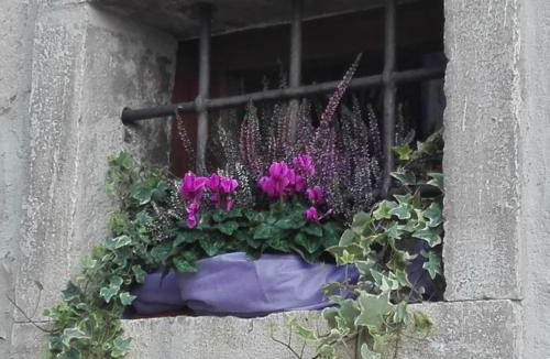 Guardialfiera Bed & Breakfast | B&B Il Belvedere