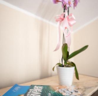 Agerola Bed & Breakfast | B&B La Piazzetta