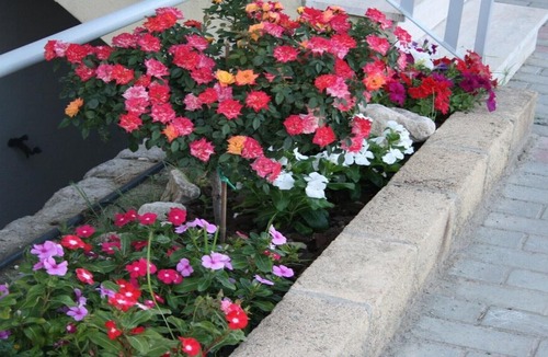 Borgia House | Baia dei Canonici Apartments