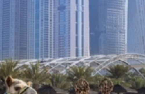 Al Quoz Resort | Beautiful Dubai Suites 1 & 2 bedroom. Jr Suite Sleeps 2. All Inclusive included