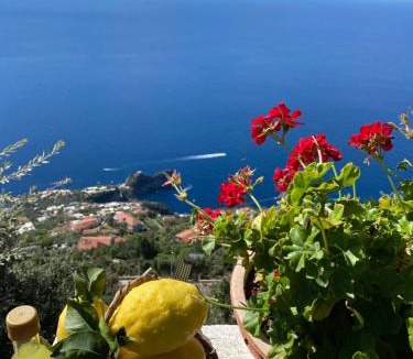 San Lazzaro House | Bed&Breakfast Miramare