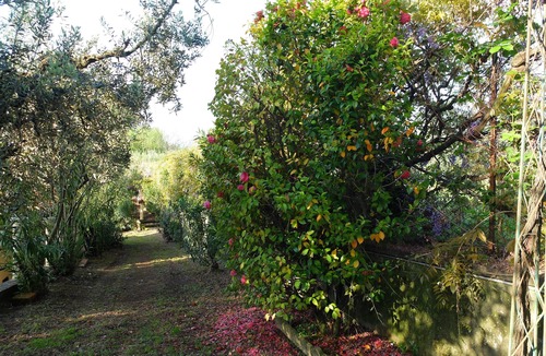 Velletri Cottage | Bellevue, home in the green
