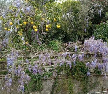 Caiazzo Bed & Breakfast | Belvedere di Caiazzo