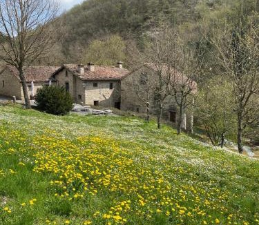 Marradi Bed & Breakfast | Borgo Corniola B&B Naturista
