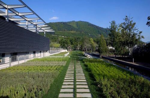 Sorbo Serpico House | Borgo San Gregorio