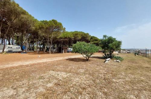 Roccelletta Other | Camping Cammello Grigio