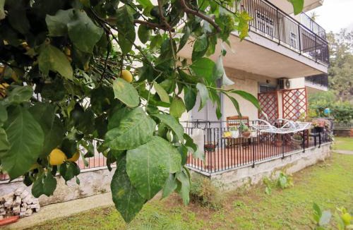 San Nicola La Strada Bed & Breakfast | Carmen's Home Caserta sud