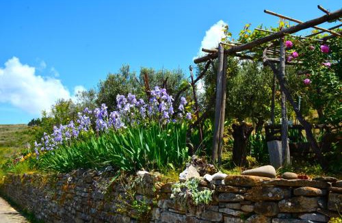 Castellabate House | Casa a Castellabate
