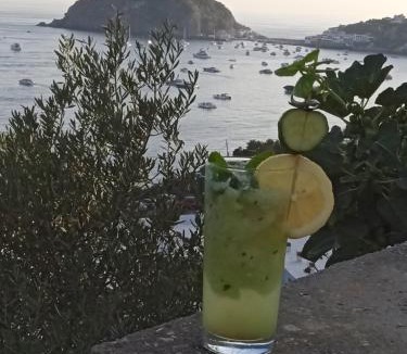 Barano d'Ischia Bed & Breakfast | Casa Antonio
