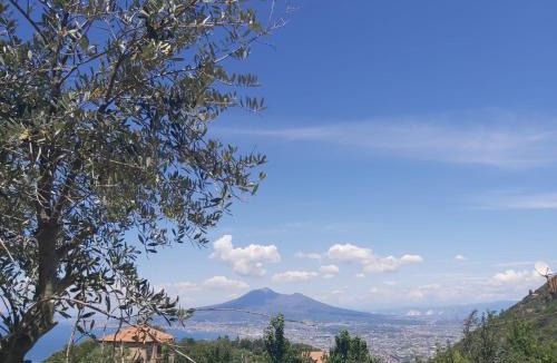 Piazza-Tralia-Pendolo Apartment | Casa Bruna Tettoia
