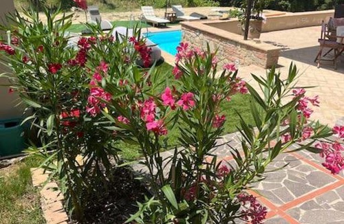 Terricciola Bed & Breakfast | Casa Loumavi