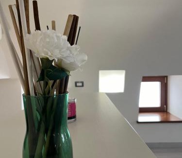 Pontone House | Casa Pont1