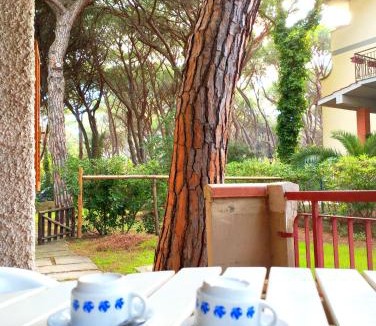 Principina a Mare Apartment | Casa Ricciola