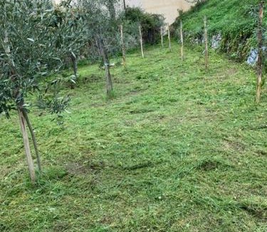 Brancaleone Marina House | Casa Rosa